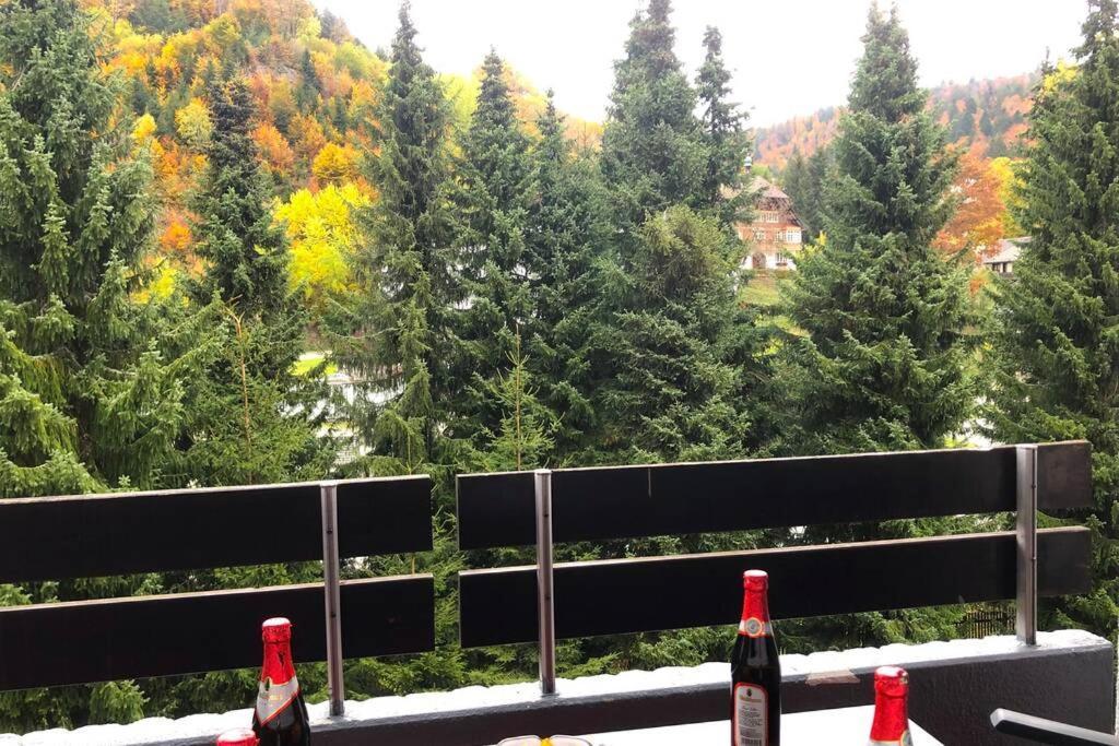 Ferienwohnung Schwarzwald Todtmoos Exterior foto